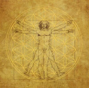 Leinwanddruck Vitruvianischer Mensch Leonardo Da Vinci Wandbild ca. 40 cm BDL - Bild 1 von 3