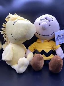 Peanuts Experience Charlie Brown & Woodstock Plush From Hawaii 🌺 - Picture 1 of 9