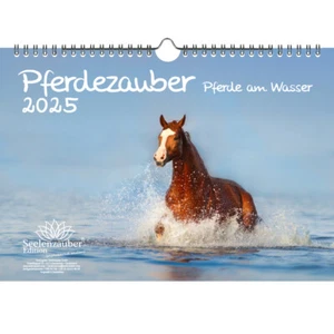 Pferdezauber - Pferde am Wasser DIN A4 Kalender für 2025 Pferde und Fohlen - See - Bild 1 von 7