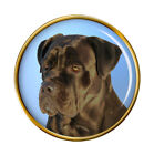 Cane Corso Dog Lapel Pin Badge