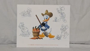 2016 Walt Disney Epcot Blume & Garten Passhalter exklusiver 8 x 10 Donald Druck - Bild 1 von 1