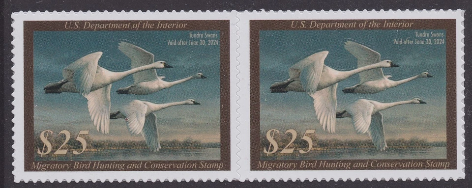 US RW90 Migratory Birds $25 horz pair MNH 2023-2024 - Image 1 of 1