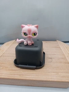 Littlest Pet Shop 1083 LPS Auténtico Rosa Brillo Sentado Gato Persa Ojos Verdes - Imagen 1 de 11