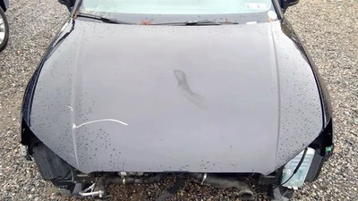 Hood Fits 15-20 AUDI A3 1574076 Foto 1 de 4