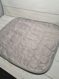 Cooling Mat & Sleeping Pad For Pets Features Water Absorption Top, 19"×15" - Picture 1 of 5