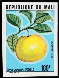 MALI 382i - Lebensmittelprodukt "Grapefruit" ungezähnt (pb62528) - Bild 1 von 1