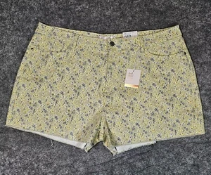 Neu mit Etikett LC Lauren Conrad ÜBERGRÖSSE 24W abgeschnittene superhohe Shorts grün - Bild 1 von 10