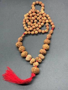 1-14 Mukhi, Ganesh, Gaurishankar Siddha Mala Indonesian Lab Certified 10mm-15mm - Picture 1 of 5