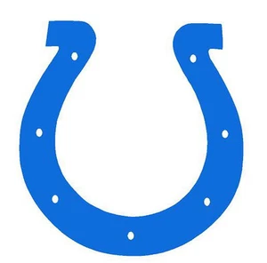  12" HORSESHOE DECAL VINYL GRAPHIC CAR TRUCK AUTO SUV VAN  SEMI CROSS OVER BLAZE - Picture 1 of 2