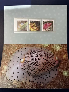 2025 Australian - Living Sea Shells - Egg Cowries - Stamp Pack - MNH - Picture 1 of 2