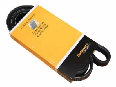 Cinturón multi costilla para Buick Century 1994-1996 73985JJ 1995 3,1 L V6 Foto 1 de 2