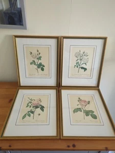 Vintage Botanical Prints - Pierre Joseph Redoute prints Professionally Framed - Imagen 1 de 10