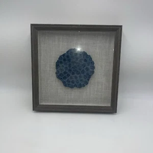 SHADOW BOX NATURAL SEA CORAL FRAME 12"X12" - Picture 1 of 3