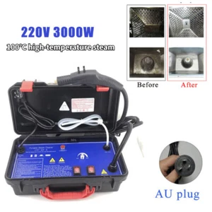Portable Commercial Steam Cleaner New Car Upholstery Cleaning Machine 220V 3000W - Picture 1 of 13