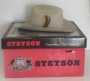 Vintage Stetson 4x Beaver Silverbelly Western Cowboy Hat Size 7 1/4 - Picture 1 of 6