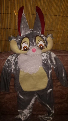 Disfraz Disney Thumper niño/niño/infante 12-18 meses Foto 1 de 4