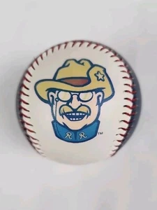 Frisco RoughRiders lächelnder Teddy blau Panel Souvenir Sammlerstück Baseballball - Bild 1 von 5
