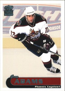 1999-00 (COYOTES) Paramount Ice Blue #177 Greg Adams