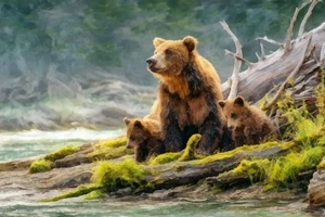 Bear and Cubs I by Buck Rawlins Western Wildlife Art Print + Free Shipping - Picture 1 of 3