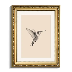 Gold gerahmtes Wandbild, Kolibri Leinwanddruck Wohndeko Vintage Kunst Gemälde... - Bild 1 von 7