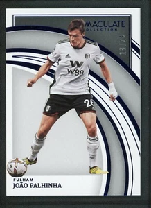 2022-23 JOAO PALHINHA 19/25 PANINI IMMACULATE COLLECTION PREMIER LEAGUE - Picture 1 of 2