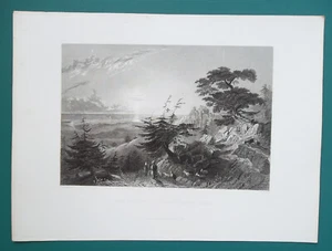 LEBANON Pass in Cedar Forest at Barouk Damascus Route - 1837 Antique Print - Picture 1 of 2