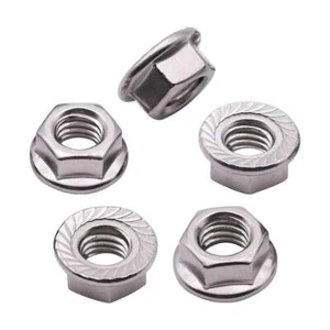 Juego de 5 piezas de tuerca de bloqueo de brida hexagonal serrada de acero inoxidable 18-8 M10 DIN6923 A2-70 escape - Imagen 1 de 4