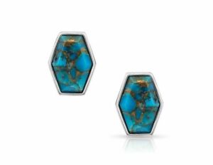 NIB Montana Silversmiths Earrings  Hexagon Post Silver Turqoise SLER056 MSR $150
