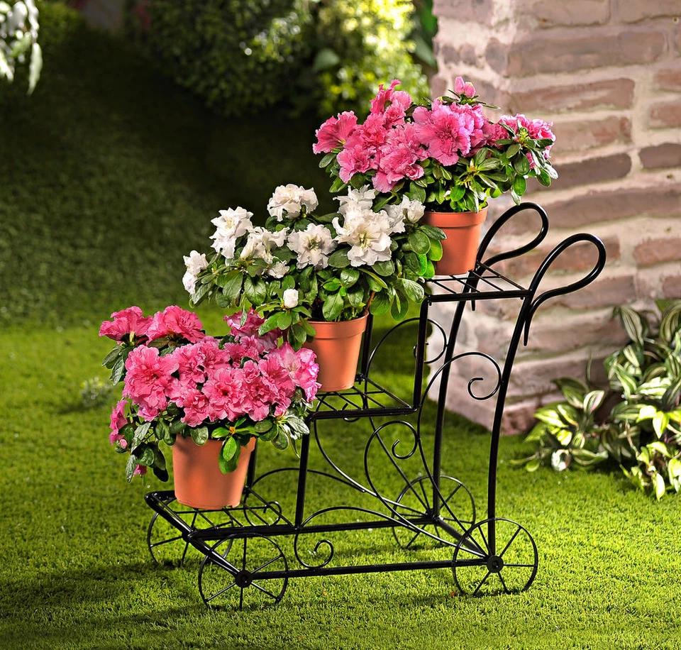 Blumenwagen fahrbar 50x50 cm - Pflanztreppe Blumentreppe Eisen Pflanzenständer - Bild 1 von 1