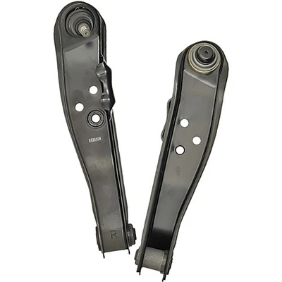 Juego de 2 brazos de control Dorman SET-RB520506 par de brazos laterales delanteros para conductor y pasajero Foto 1 de 4