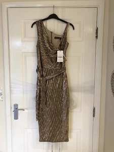 Lavish Alice Dress - Picture 1 of 12