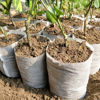 Biodegradable Non-woven Nursery Bags Plant Grow Bags Fabric Pots Pouch 100 Pcs - Image 1 of 4