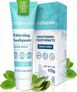 Wellnesse Whitening Hydroxyapatite Toothpaste with 4 Ounce (Pack of 1) - Picture 1 of 5