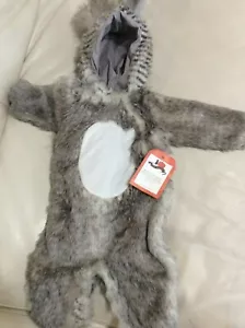 Disfraz de Halloween Farn Niños Bebé Bosque Ardilla 0-6 meses Nuevo con etiquetas Envío rápido - Imagen 1 de 1