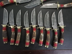 LOT OF 20, 8" inches Handmade Damascus Steel Skinner Knives in Stag Horn Handle. - Picture 1 of 15