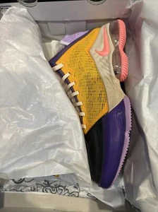 Nike LeBron 19 XIX Low "Mismatch" Lilac-Dark Smoke Grey DO9829-500 Mens Size 11 - Picture 1 of 4