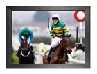 A P McCoy 18 Photo Irish Jockey Print Horse Racing Legend Picture Sports Poster