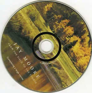 From the Field to the Studio Jay Moore DVD Oil Painting Plein Air art paint - Picture 1 of 1