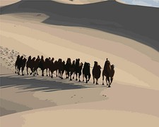 Desert Camel AfricA Landscape Paint By Number Kit DIY Number Canvas Painting Oil