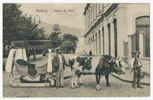 Madeira, Portugal - Carro de bois, Oxcart - Imagen 1 de 2