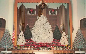 Árboles de postal Estelle Peabody Memorial Home Chapel del norte de Manchester Indiana - Imagen 1 de 2