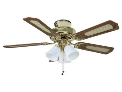 Fantasia Eurofan Belaire Ceiling Fan Light Polished Brass Oak Cane Blades 114192 - Image 1 of 2