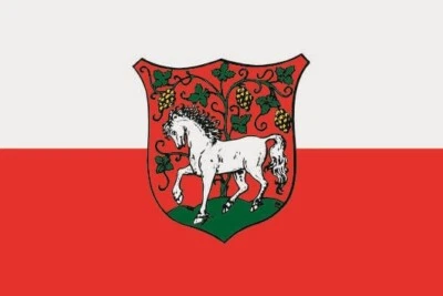 U24 Fahne Flagge Roßwein 40 x 60 cm Bootsflagge Premiumqualität