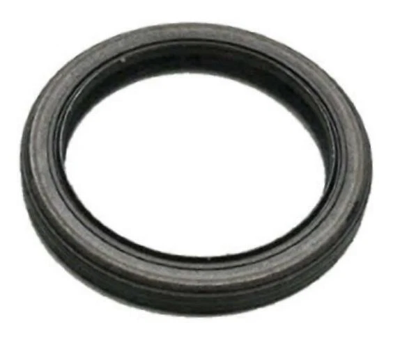 Briggs & Stratton 795387 Oil Seal