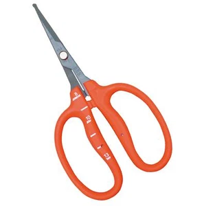 Chikamasa Stainless Fluorine Grape Scissors Round Tip B-500SLMF - Picture 1 of 2