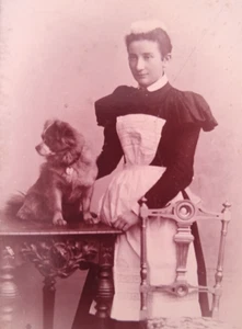 1890er Hund Haustier Deutscher Spitz Spaniel Willy Wilcke Hamburg Dienstmädchen Antik Foto CDV - Bild 1 von 3