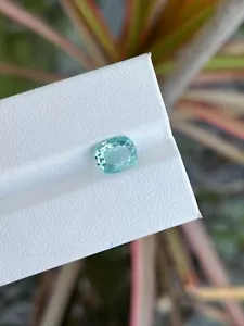 1,39 quilates -TURMALINA NATURAL PARAIBA 8x6 mm MOZAMBIQUE PIEDRAS PRECIOSAS SUELTAS - Imagen 1 de 6
