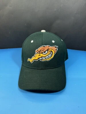 Zephyr The Hat Unisex Solid Green Wood Peckers Team Sports Apparel Cap - Image 1 of 4