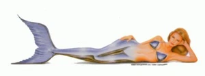 Sailors Fantasy PinUp MERMAID Sea Siren Nautical Sticker ART Decal by Cartagena - Picture 1 of 1