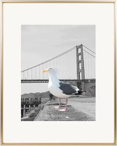 , 16X20 Metal Picture Frame with Mat for 11X14 Picture & Real Glass, Aluminum Ph - Picture 1 of 7